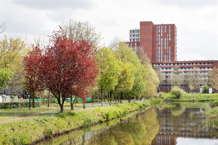 Bekijk foto 34 van Willemspoort 87