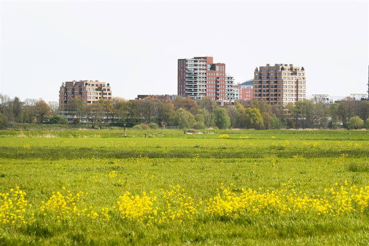 Bekijk foto 30 van Willemspoort 87