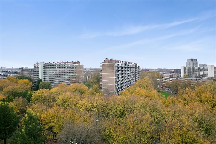 Bekijk foto 32 van Nieuwendamlaan 250