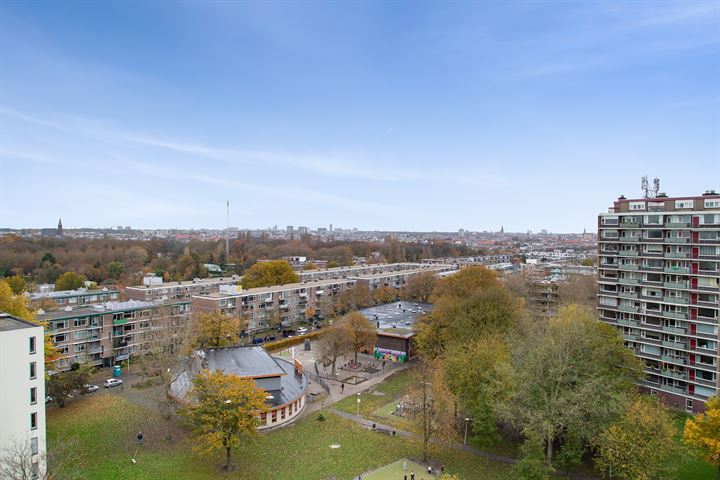 Bekijk foto 38 van Nieuwendamlaan 250