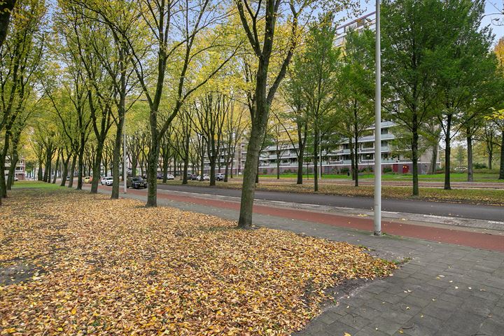 Bekijk foto 52 van Nieuwendamlaan 250