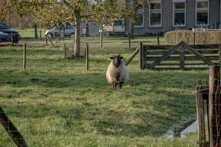 Bekijk foto 20 van Prinsesseweg 22-24