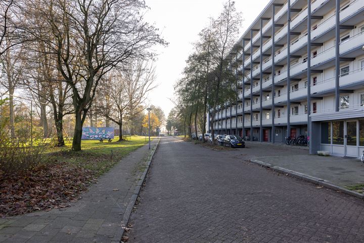 Bekijk foto 30 van Sinnigvelderstraat 289