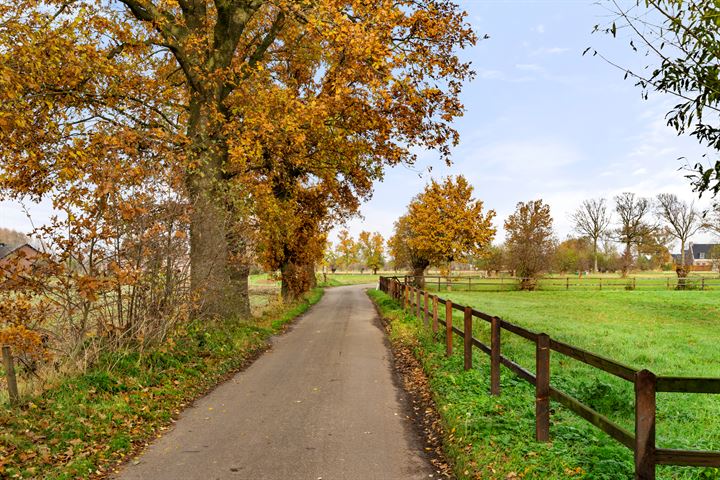 Bekijk foto 65 van Poelweg 10