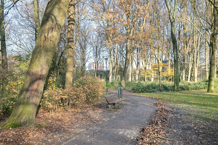 Bekijk foto 41 van Van Velzenstraat 17