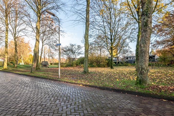 Bekijk foto 7 van Petrus Aemiliusstraat 67