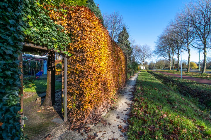 Bekijk foto 43 van Bulkensteinlaan 47