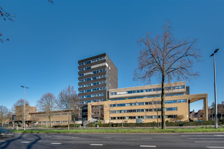 Bekijk foto 5 van Ringbaan-Oost 240-18