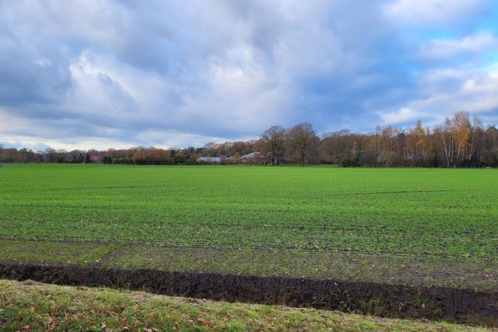 Bekijk foto 4 van Langstraat 16