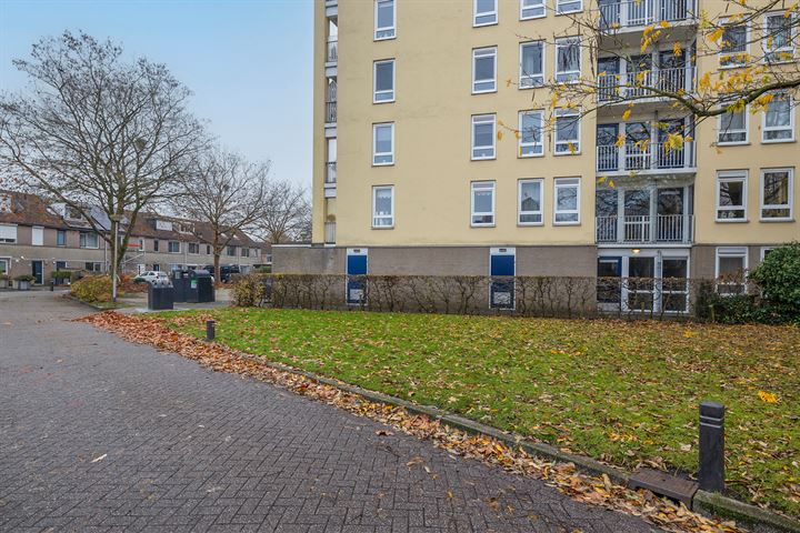 Bekijk foto 39 van Vlietpolderstraat 13