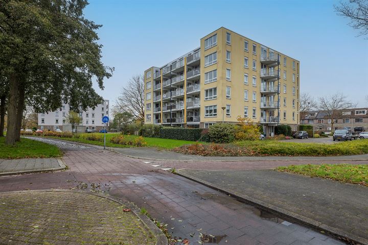 Bekijk foto 41 van Vlietpolderstraat 13