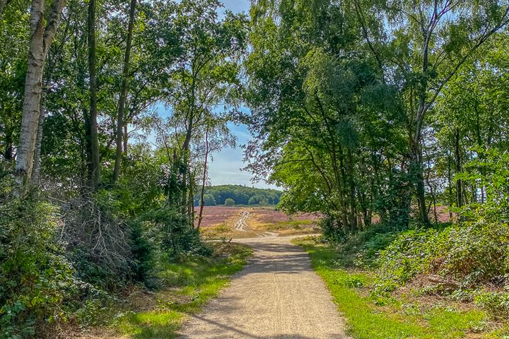 Bekijk foto 40 van Utrechtseweg 29-A4