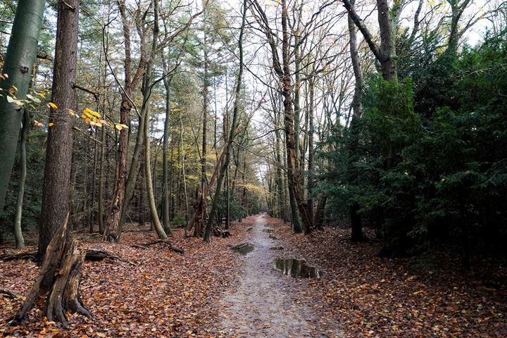 Bekijk foto 41 van Garderenseweg 80