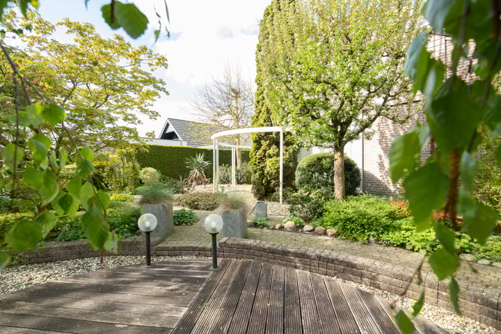 Foto 50 van Grutto 32