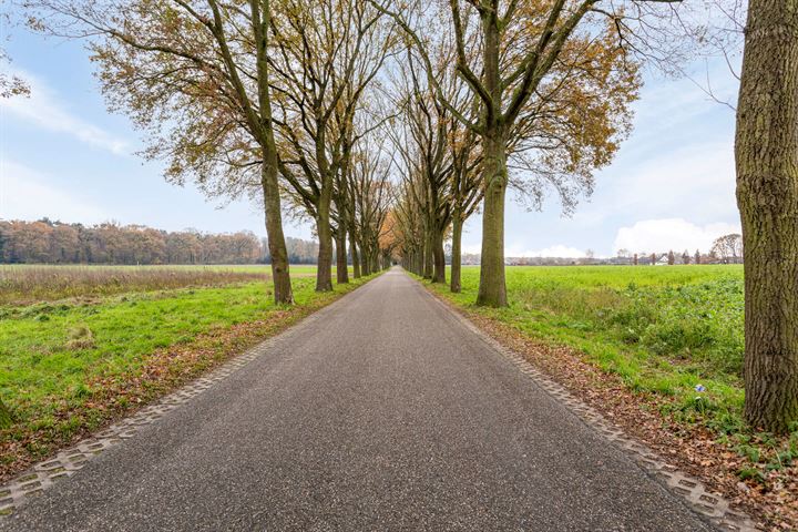 Bekijk foto 31 van Eijkersstraat 43