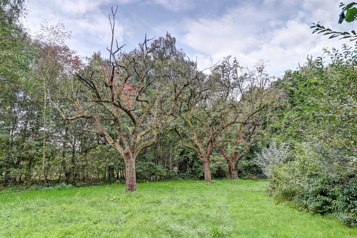 Bekijk foto 48 van Donderbergweg 8