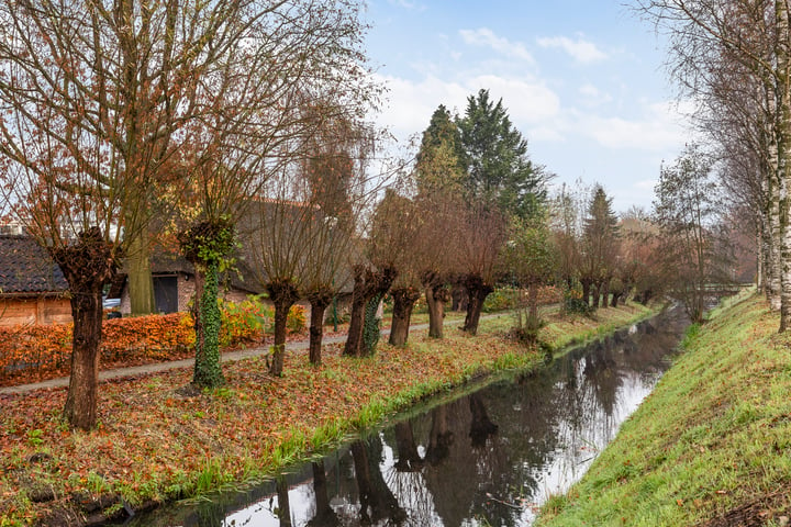 Bekijk foto 31 van Vogelwikke 43