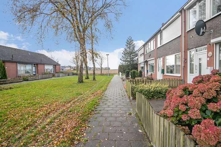 Bekijk foto 4 van Dosterdstraat 11