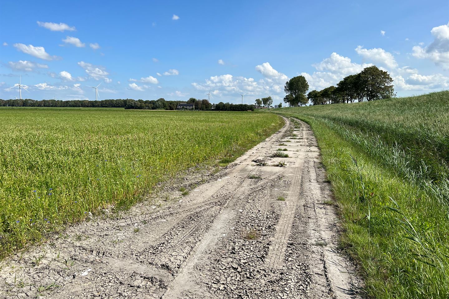 Bekijk foto 4 van Havenweg