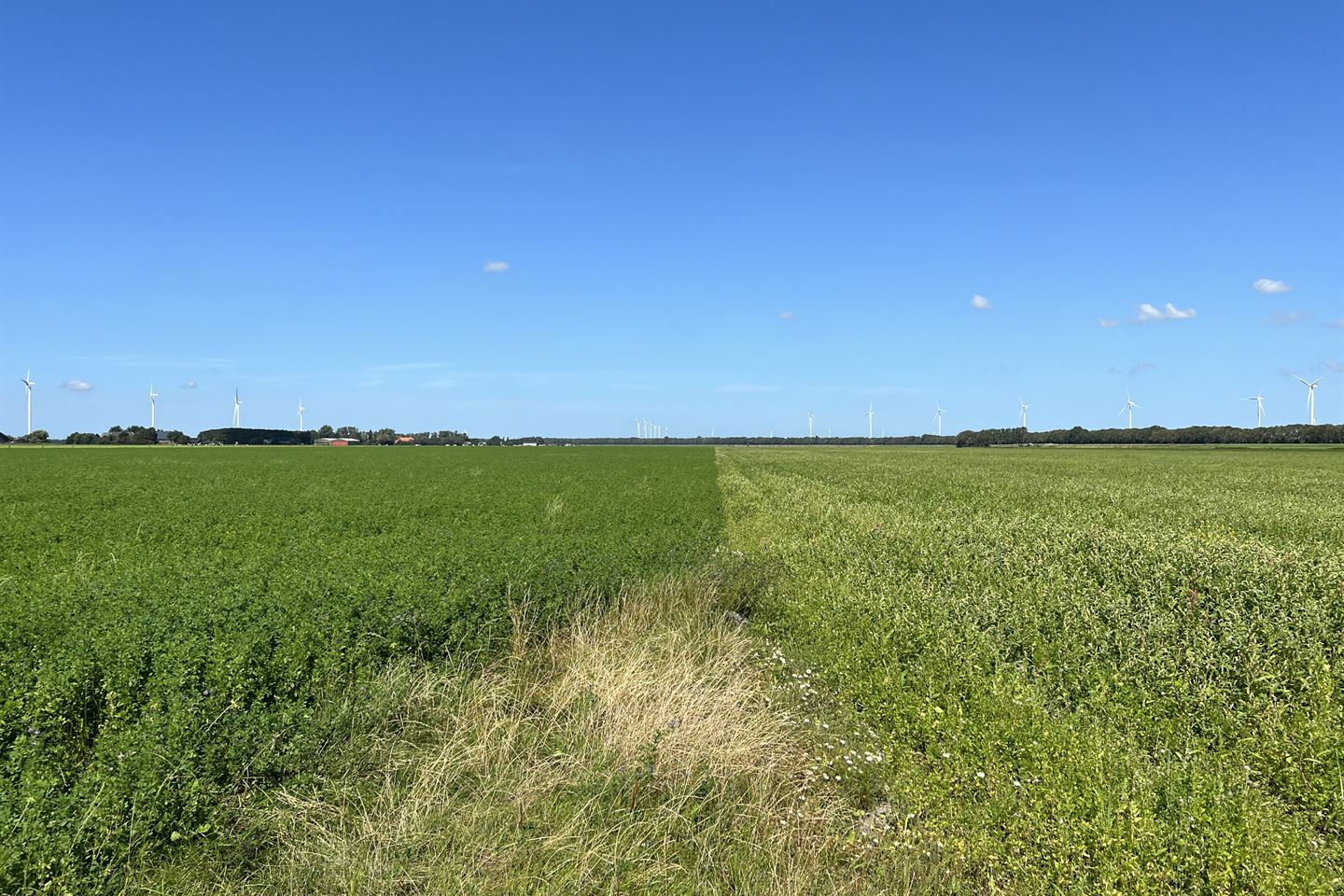 Bekijk foto 3 van Havenweg