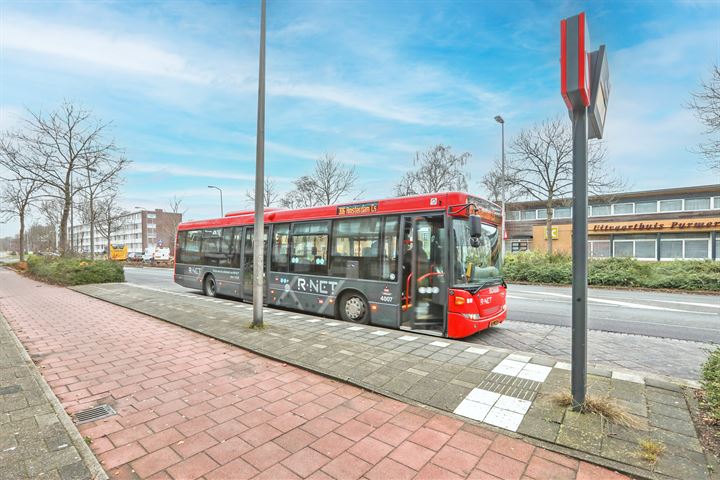 Bekijk foto 46 van Scheldestraat 59