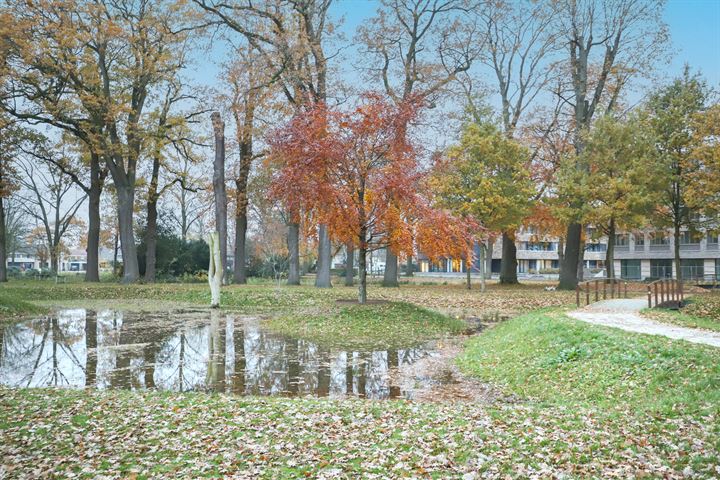 Bekijk foto 43 van Sweelinck 80