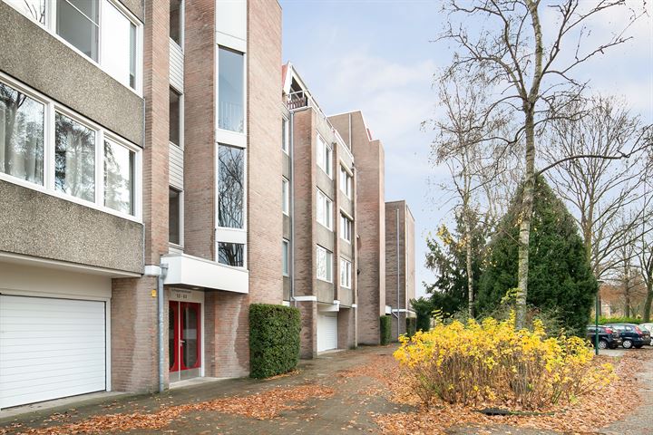 Bekijk foto 6 van Schepenenstraat 79