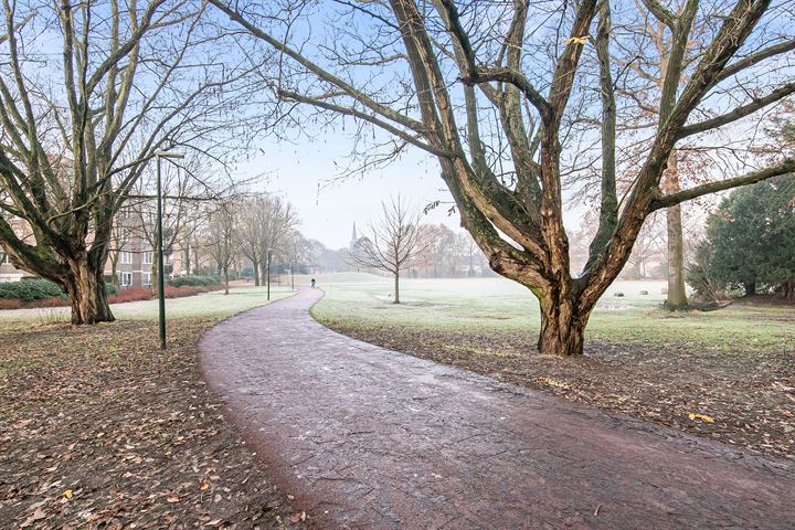 Bekijk foto 43 van Schepenenstraat 79