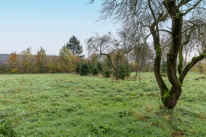 Bekijk foto 31 van Lodderhoeksestraat 57