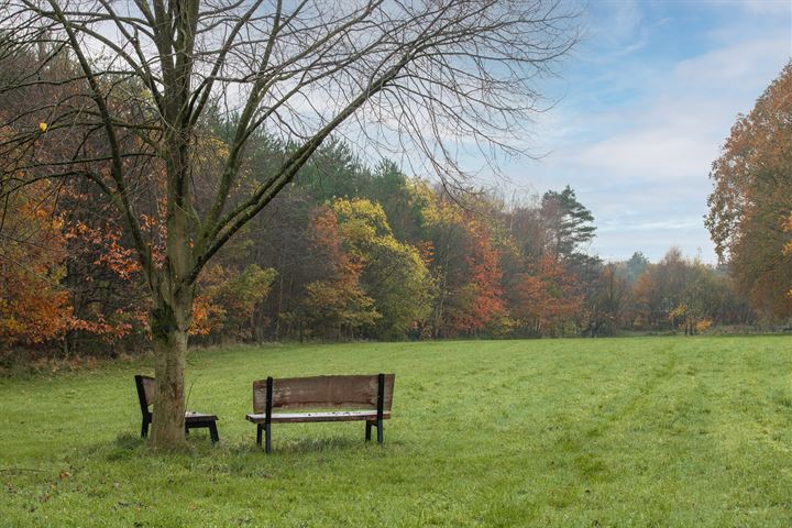 Bekijk foto 3 van Marsweg 2