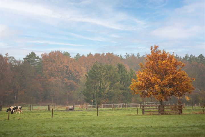 Bekijk foto 5 van Marsweg 2