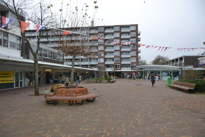 Bekijk foto 45 van Catharina van Rennesstraat 200