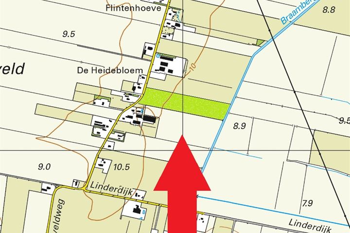 Linderveldweg, Linde