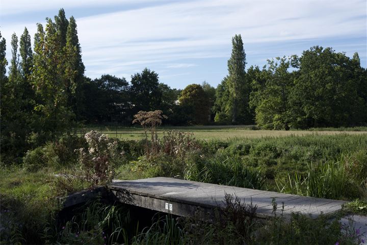 Bekijk foto 30 van Roodborststraat 13