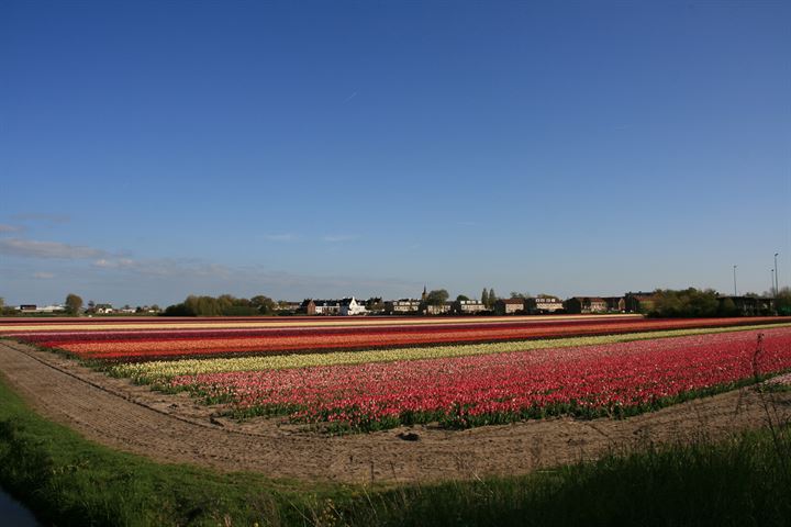 Bekijk foto 50 van Haasveld 46