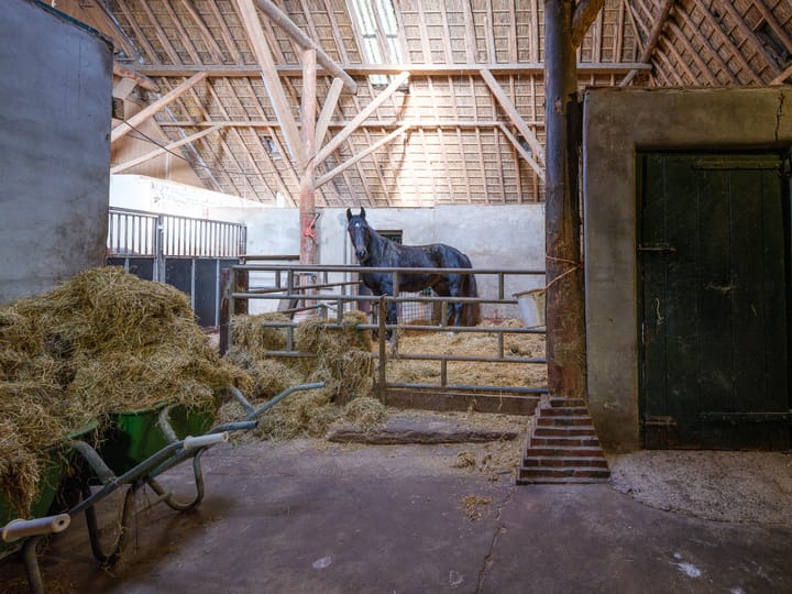 Photo 4 of Miedwei 52