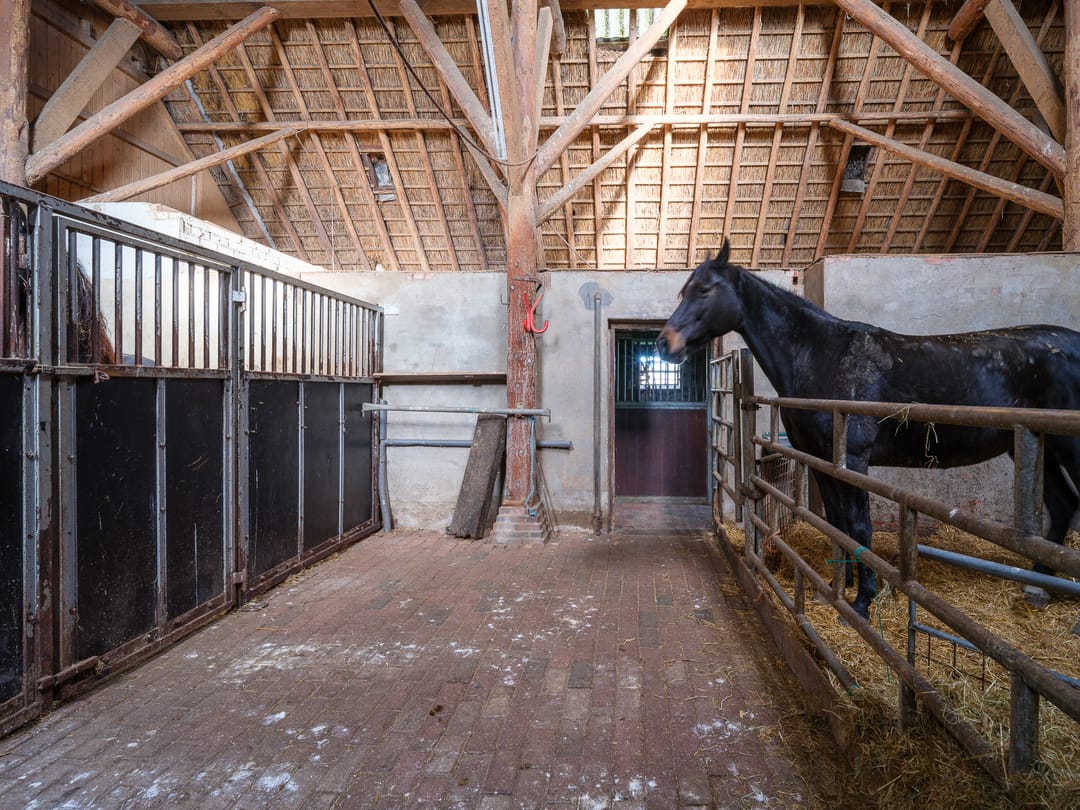 Foto 31 van Miedwei 52