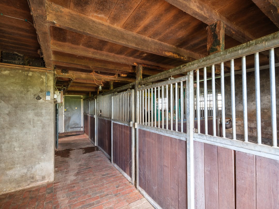 Foto 32 van Miedwei 52