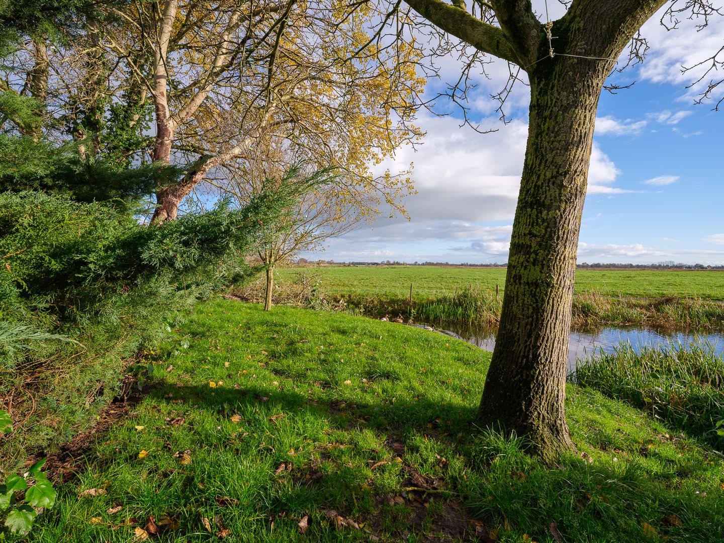 Foto 40 van Miedwei 52