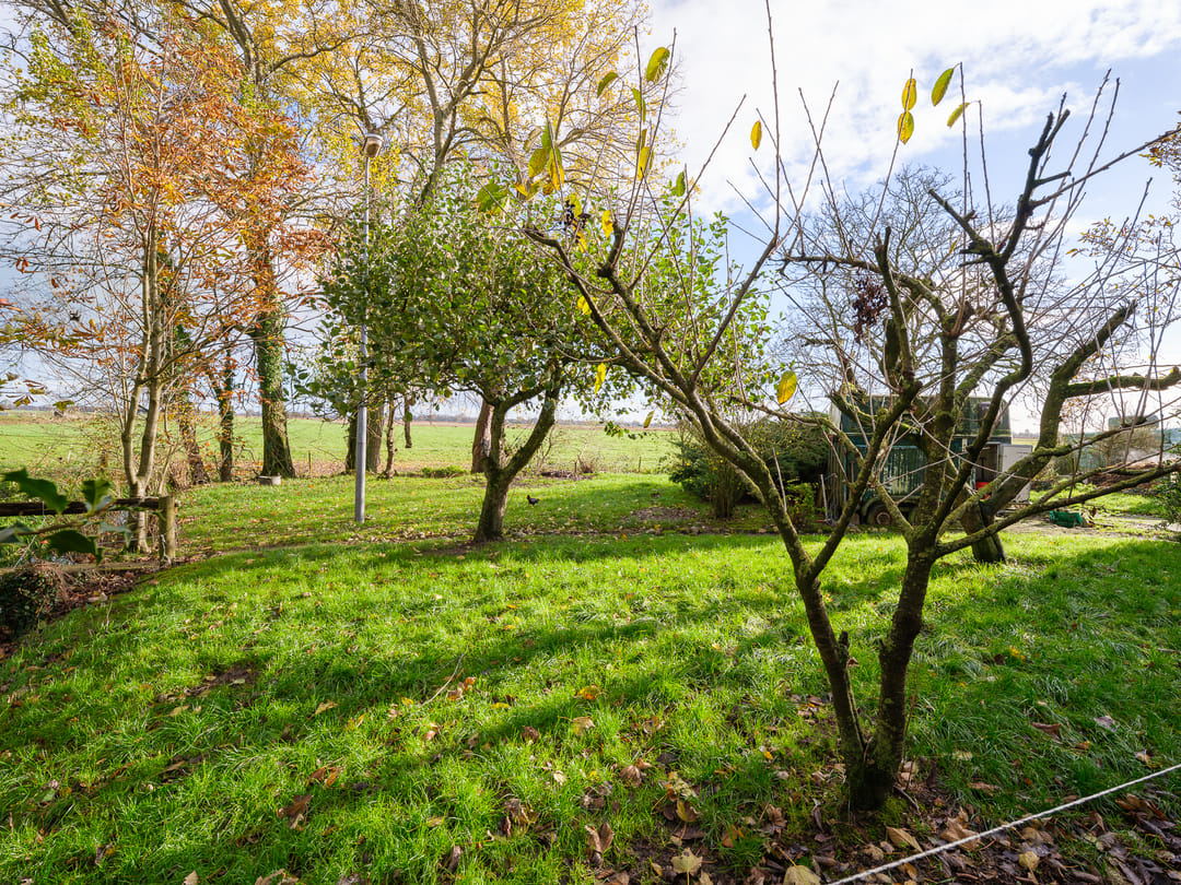 Foto 38 van Miedwei 52