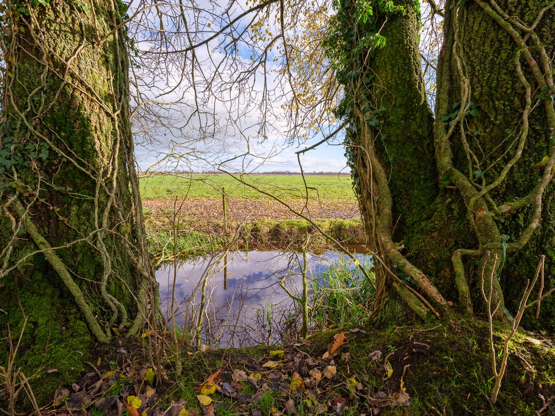 Foto 43 van Miedwei 52