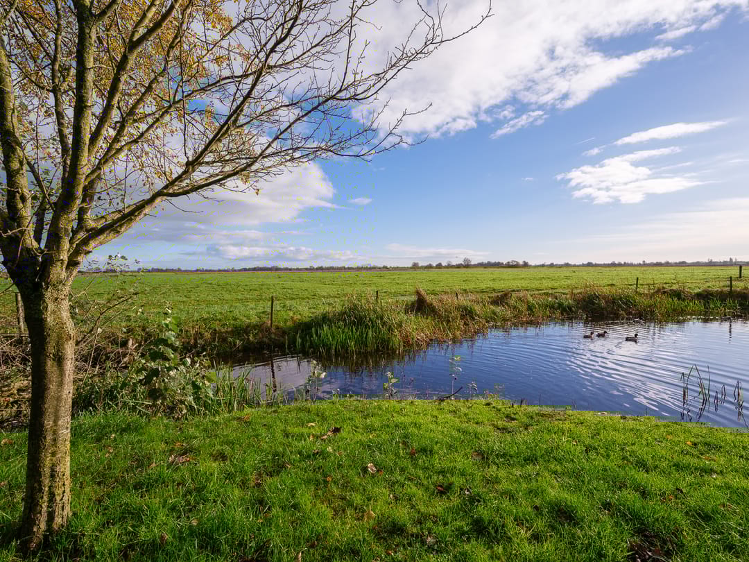 Foto 41 van Miedwei 52