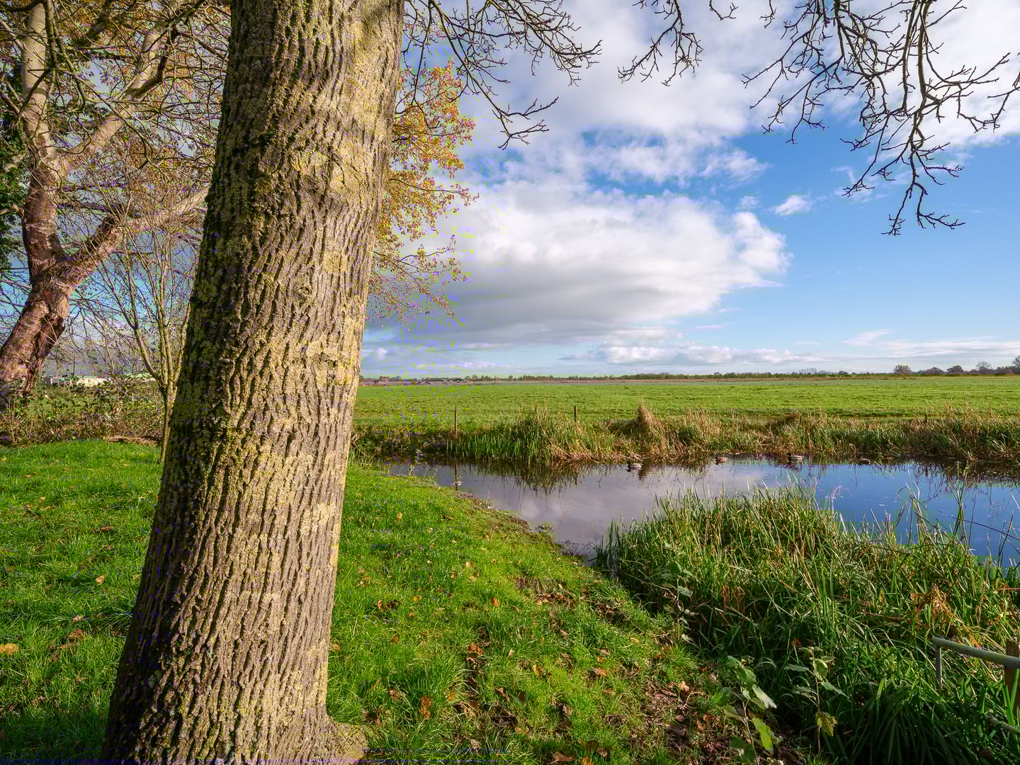 Foto 44 van Miedwei 52