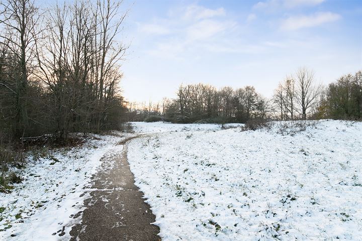 Bekijk foto 40 van Thorbeckestraat 14