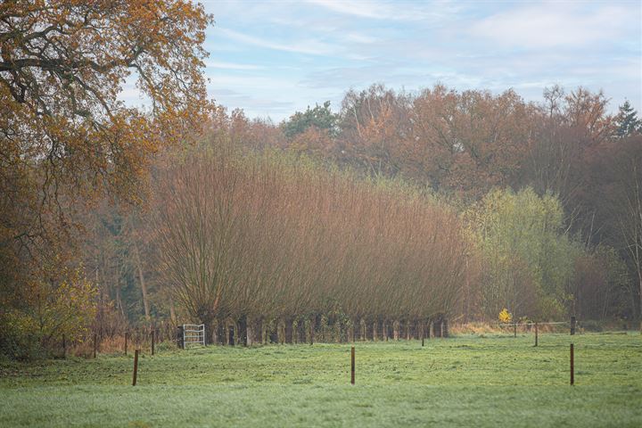 Bekijk foto 100 van Marsweg 2