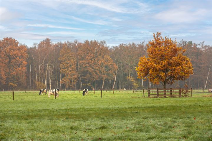 Bekijk foto 9 van Marsweg 2