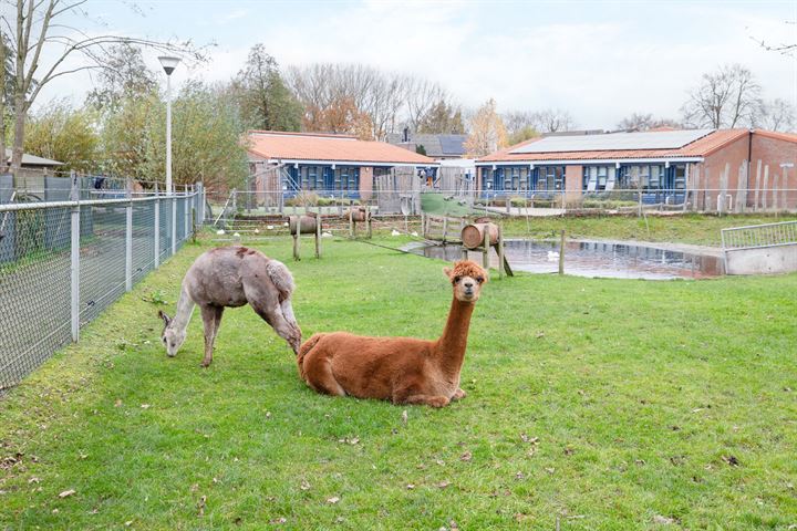 Bekijk foto 36 van Geerhof 16