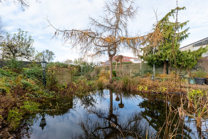 Bekijk foto 41 van Toevlucht 2