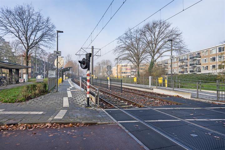 Bekijk foto 40 van Frankrijkstraat 166