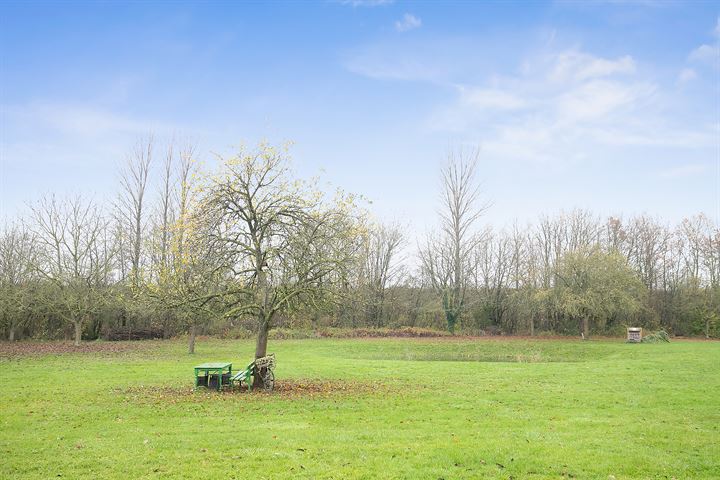 Bekijk foto 4 van Graaf Jansdijk 32